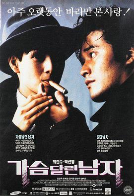 雾中灯塔剧集海报